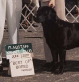 second Feature Image